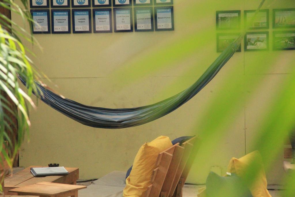 Blue Trailz & Surf Camp Hostel