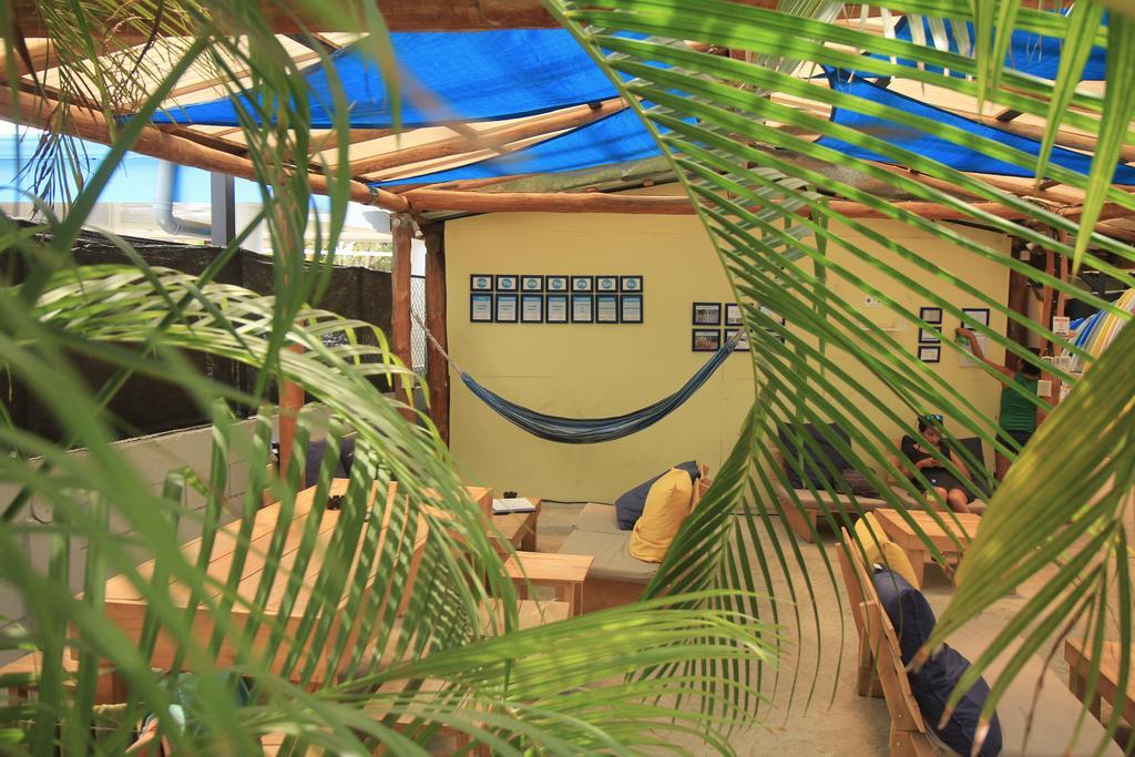 Blue Trailz & Surf Camp * Tamarindo