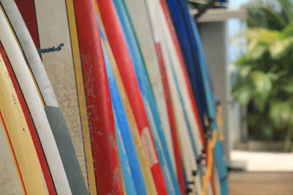 Blue Trailz & Surf Camp * Tamarindo