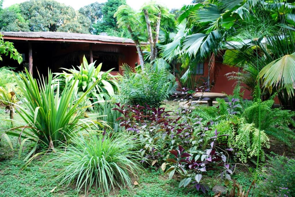 Mineros Guest house *