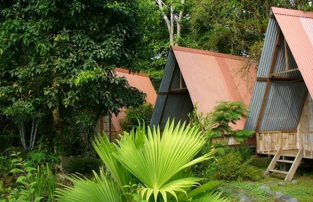 Guest house Mineros Dos Brazos