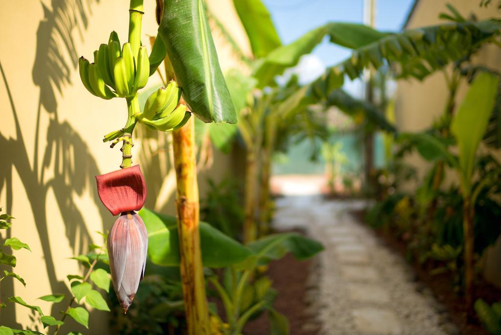 Cabo Velas Estates Holiday park 3*