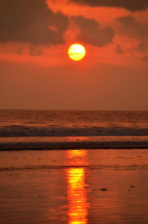 Hotel South - Beachfront Jaco