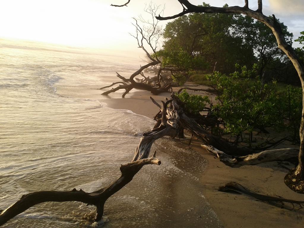 Hotel Cabinas Olas 2*