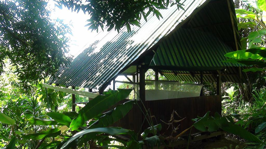 Bed & Breakfast Ka'kau Jungle Cabinas *