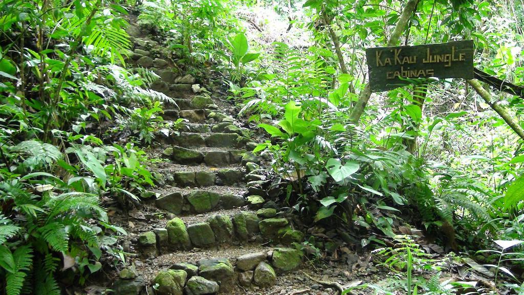 Bed & Breakfast Ka'kau Jungle Cabinas
