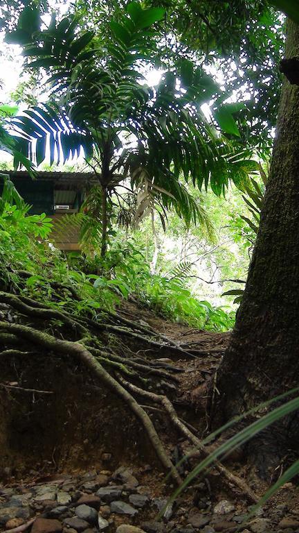 Bed & Breakfast Ka'kau Jungle Cabinas