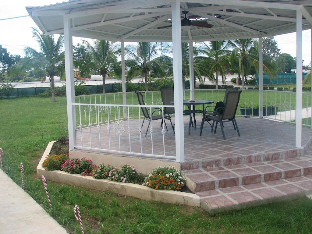 La Arena
