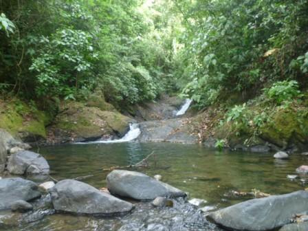 The Mango Tree Villas And Spa Ojochal
