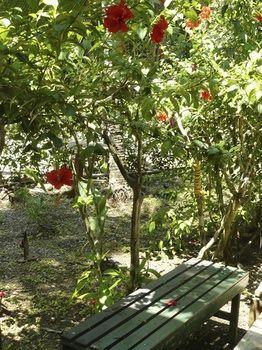 Hotel Beach Packer Manuel Antonio