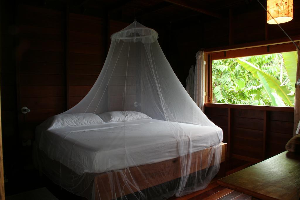 Chalet La Ceiba Reserva Natural