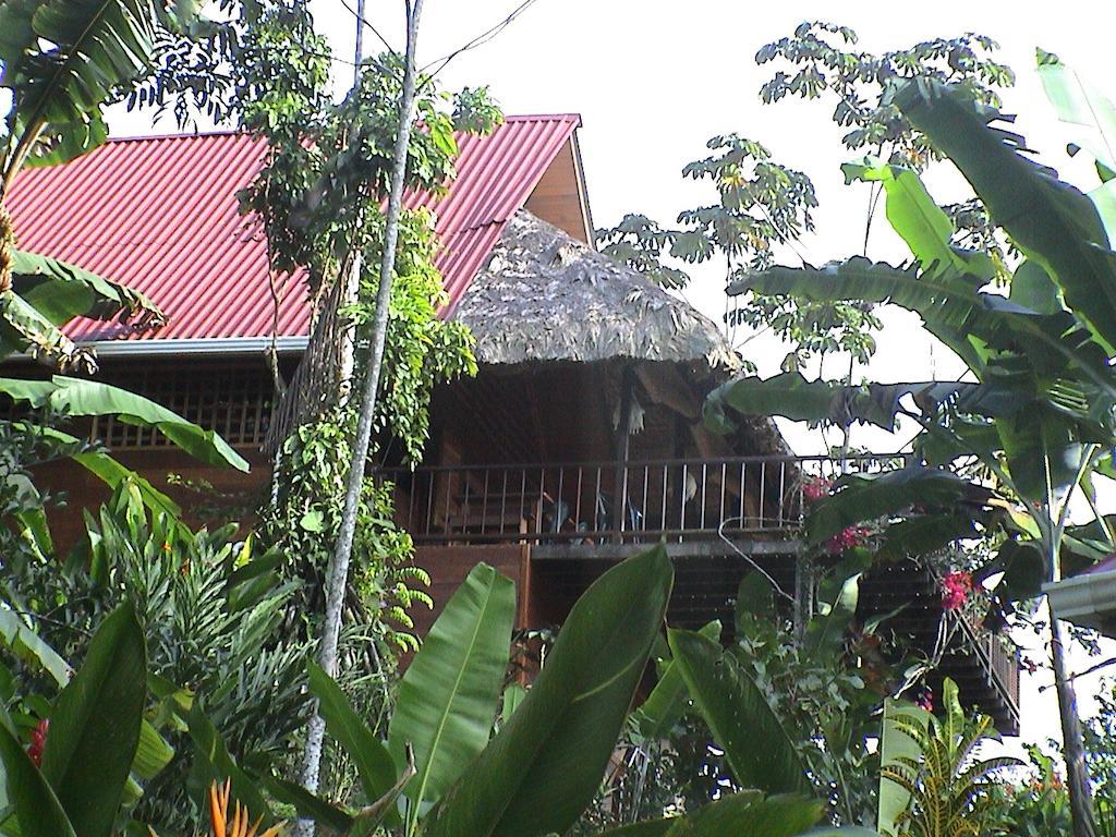Chalet La Ceiba Reserva Natural