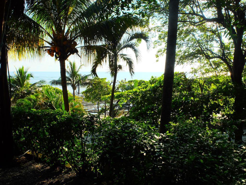 Hotel El Rey Patricio Y Restaurante Tapas Playa Santa Teresa (Puntarenas)