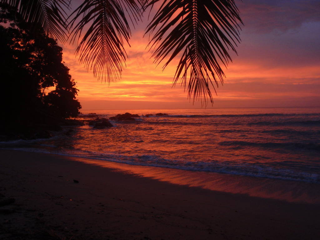Hotel Pachamama Tropical Garden 2*