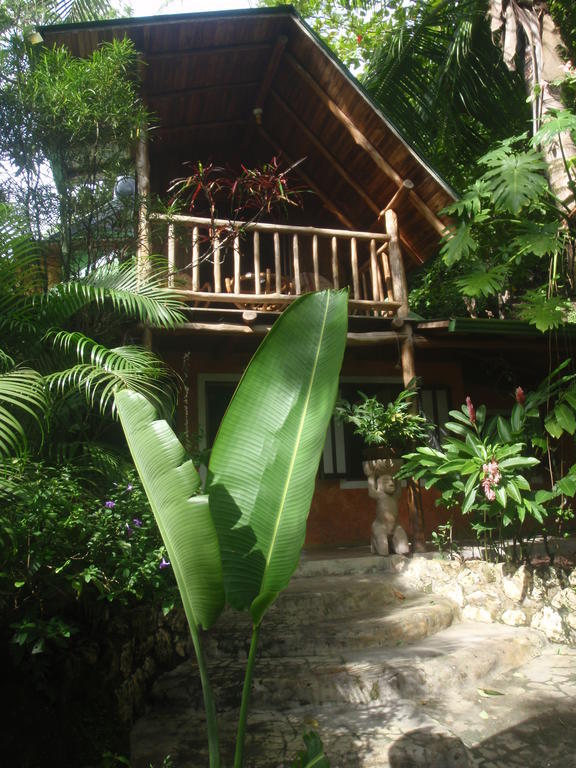 Pachamama Tropical Garden