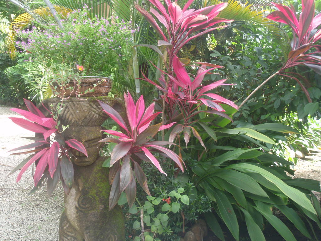 Hotel Pachamama Tropical Garden