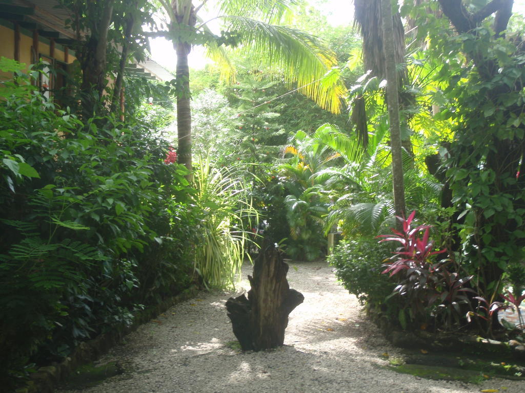Hotel Pachamama Tropical Garden Malpais