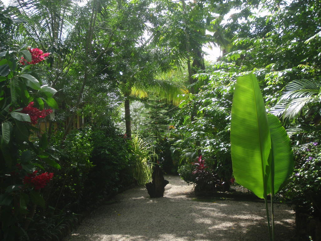 Hotel Pachamama Tropical Garden 2*