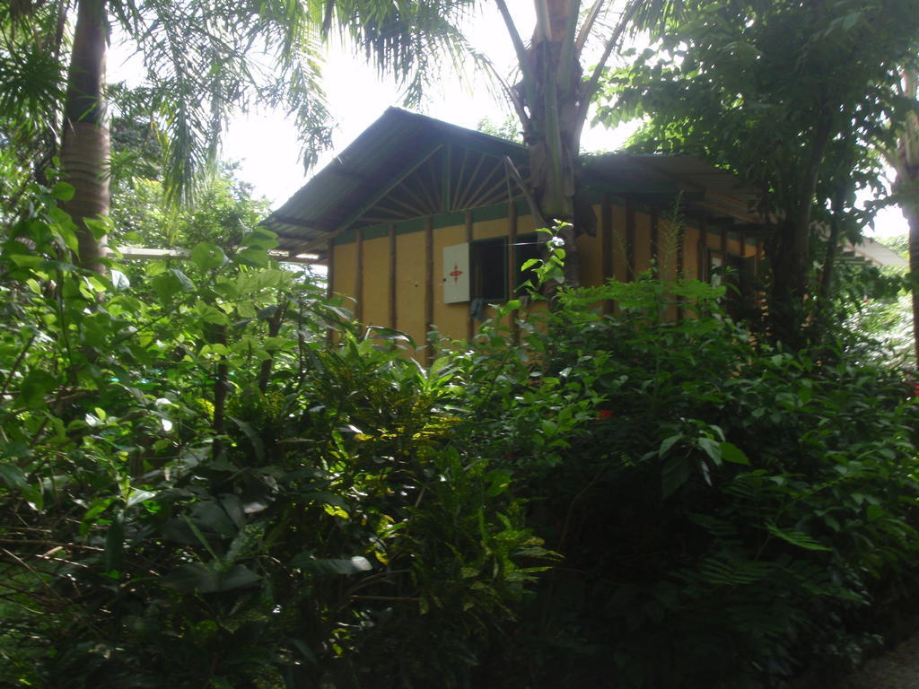 Hotel Pachamama Tropical Garden 2*