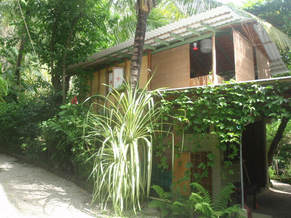 Hotel Pachamama Tropical Garden