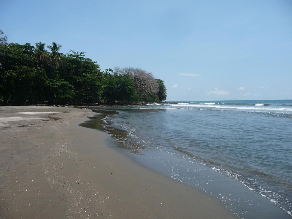 Holiday home Topos Tree House Cahuita
