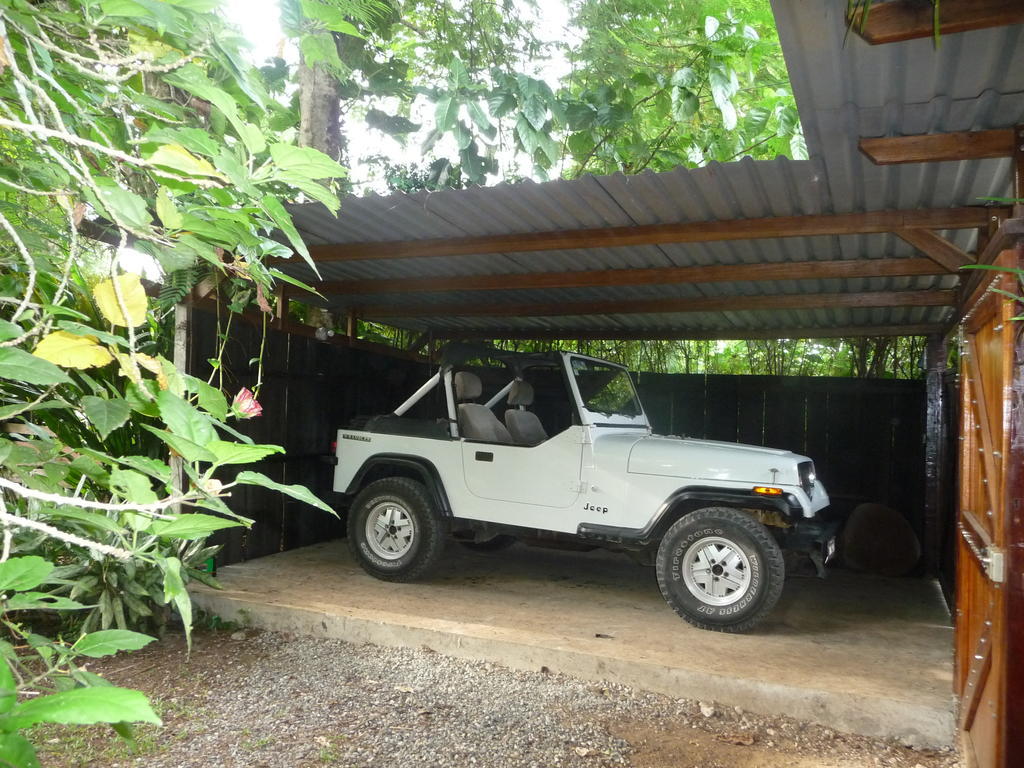 Topos Tree House