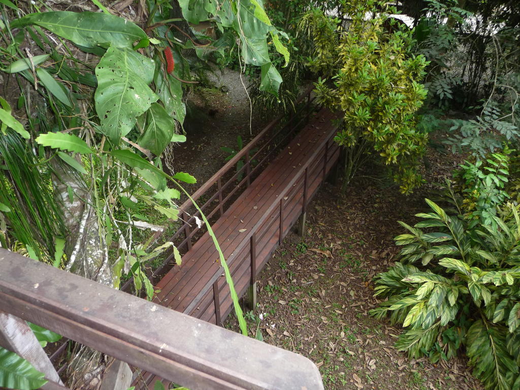Topos Tree House
