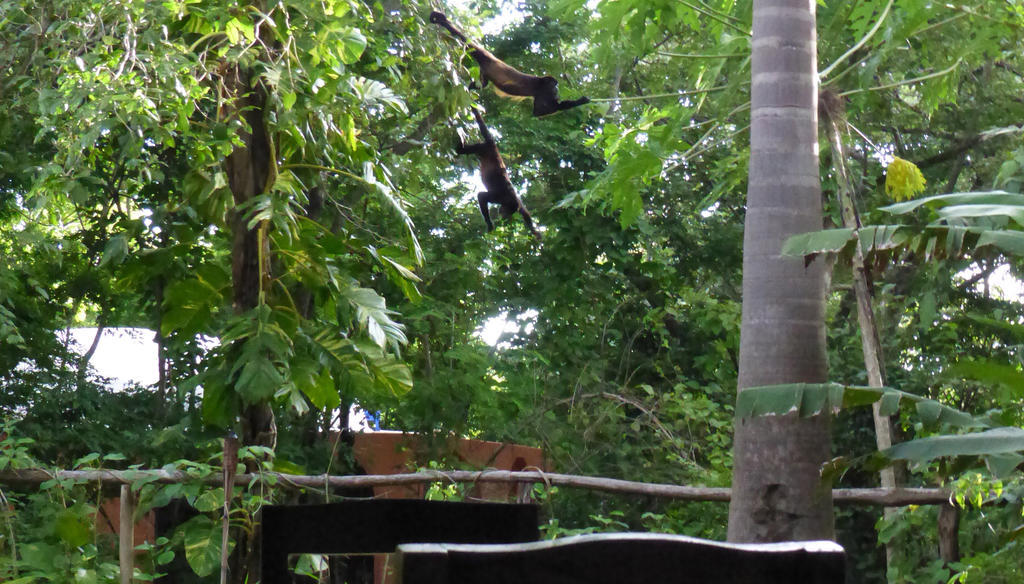 Lodge Mundo Milo Eco Paraiso (Guanacaste)