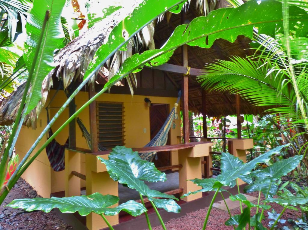 Lodge Caribe Town Puerto Viejo de Talamanca