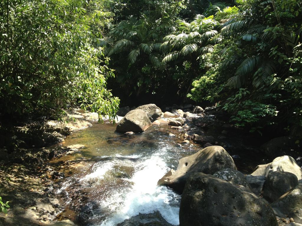 El Tucano & Thermal Quesada (Alajuela)