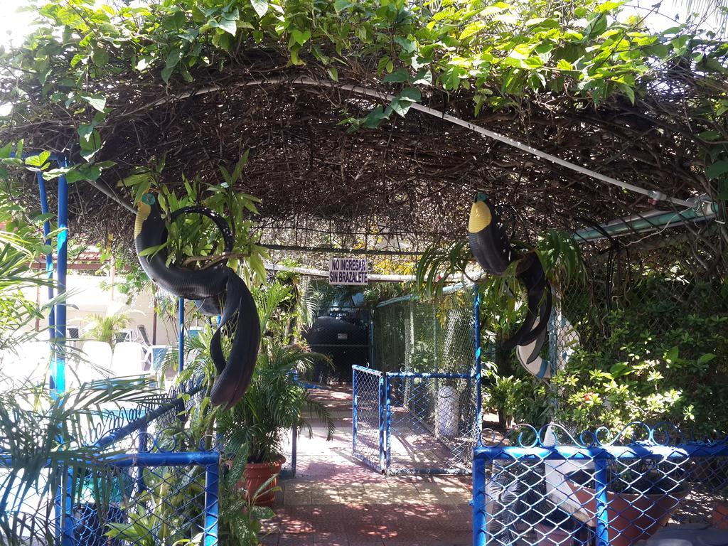 Oasis Del Pacifico