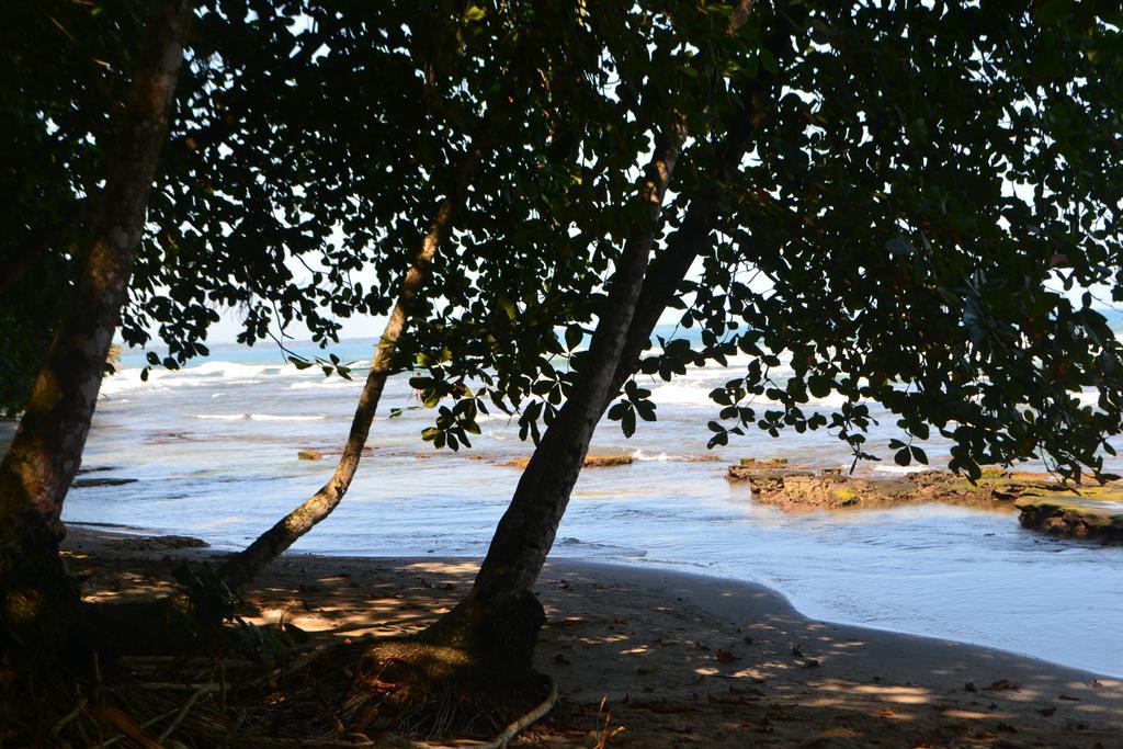 Guest house Casitas La Playa