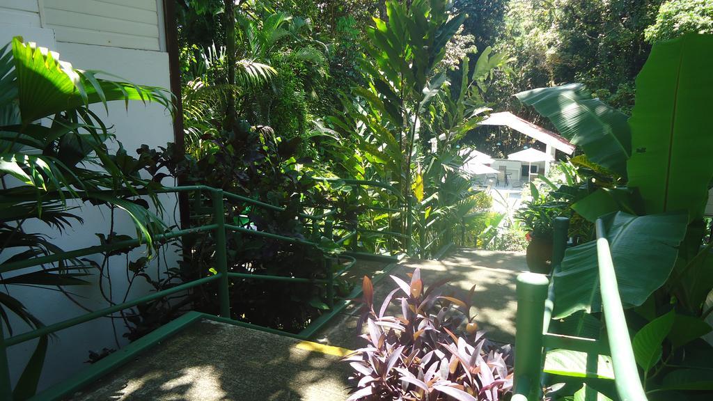 Hotel Mandarina