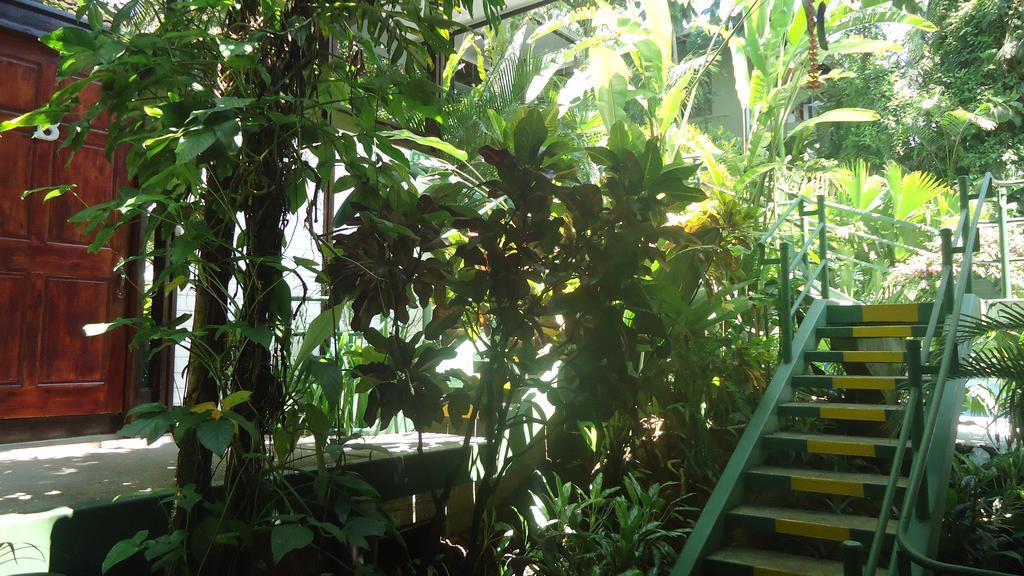 Hotel Mandarina Quepos