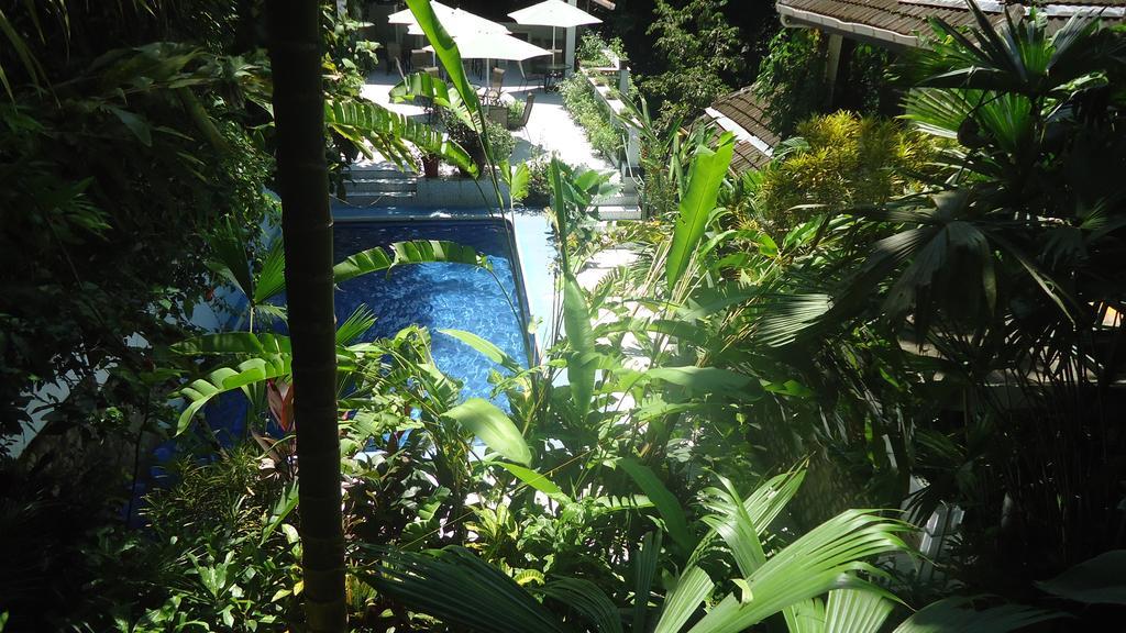 Hotel Mandarina 3*