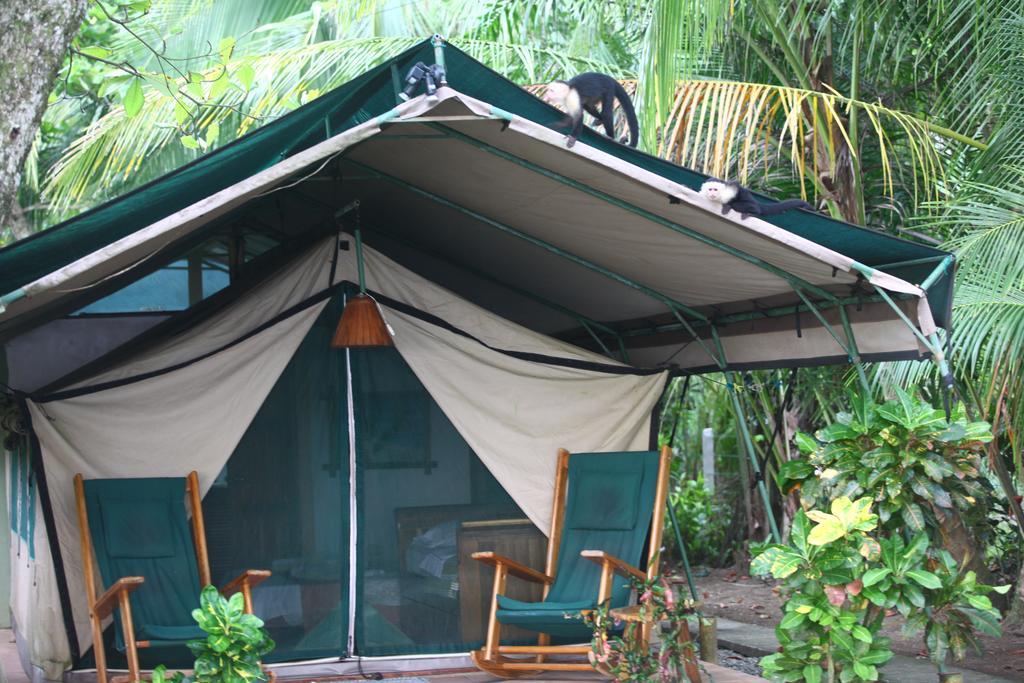 Bed & Breakfast Rafiki Camp Matapalo (Puntarenas)