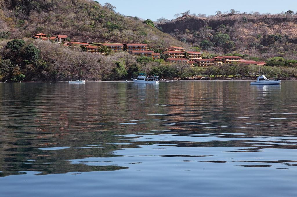 Allegro Papagayo