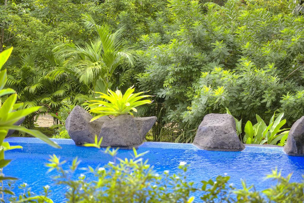 Pumilio Mountain & Ocean Jaco