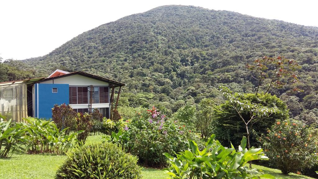 Hotel Celeste Mountain