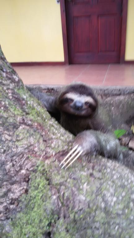 Hakuna Matata Cahuita