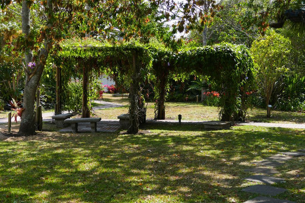 Hotel Bougainvillea San Jose 4*