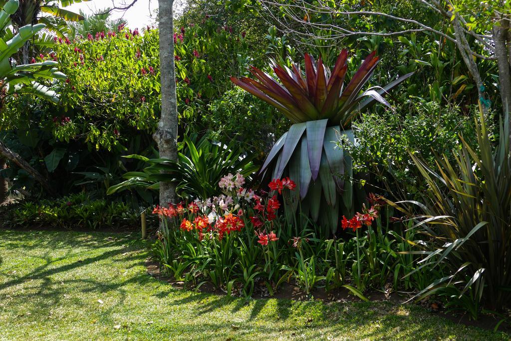 Hotel Bougainvillea San Jose