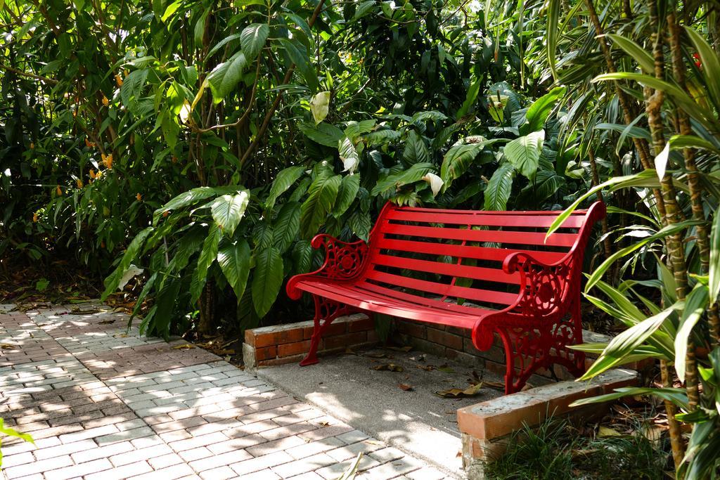 Hotel Bougainvillea San Jose Santo Domingo De Heredia