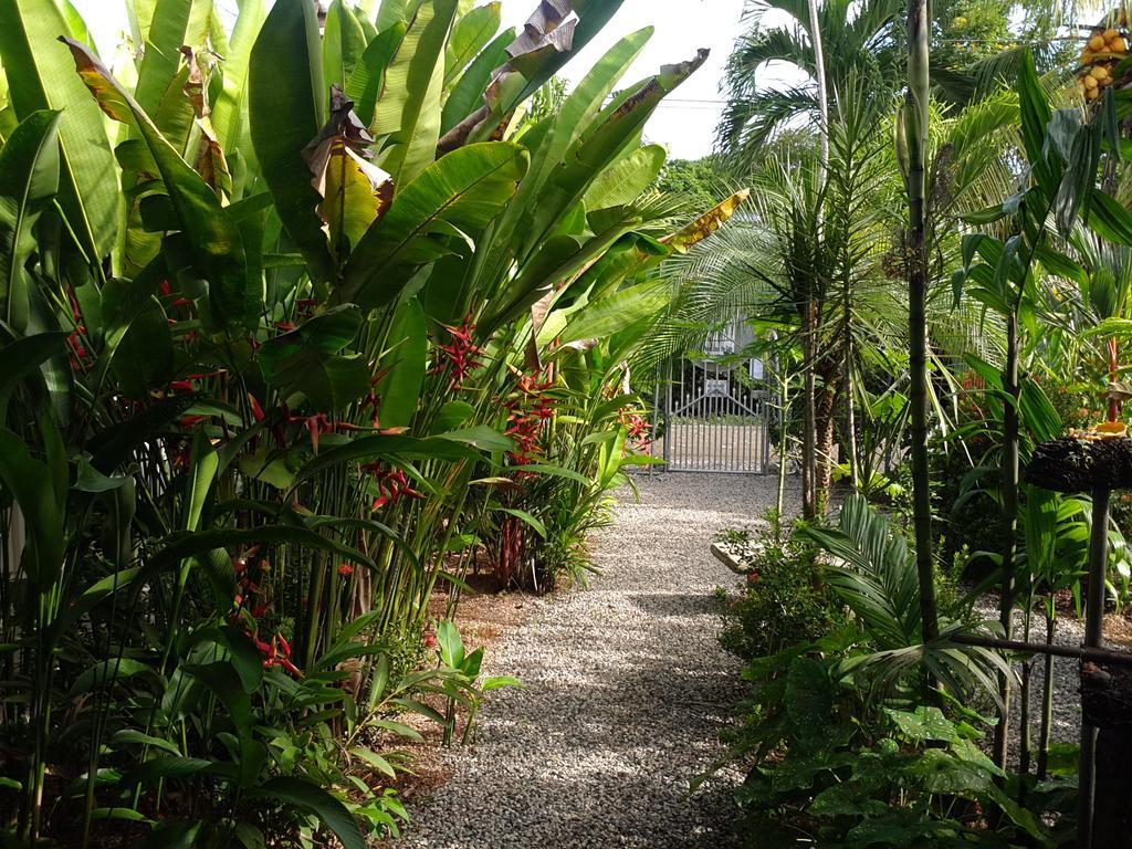 Hotel Cabinas Tropicales 3*
