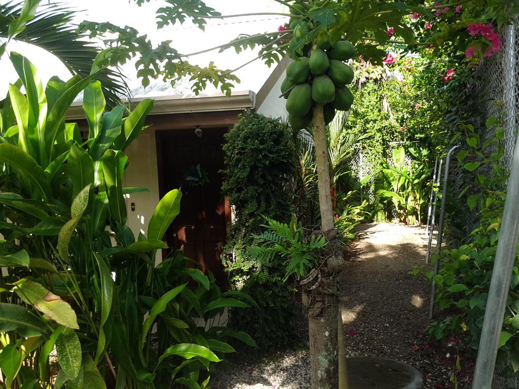 Hotel Cabinas Tropicales Puerto Jimenez