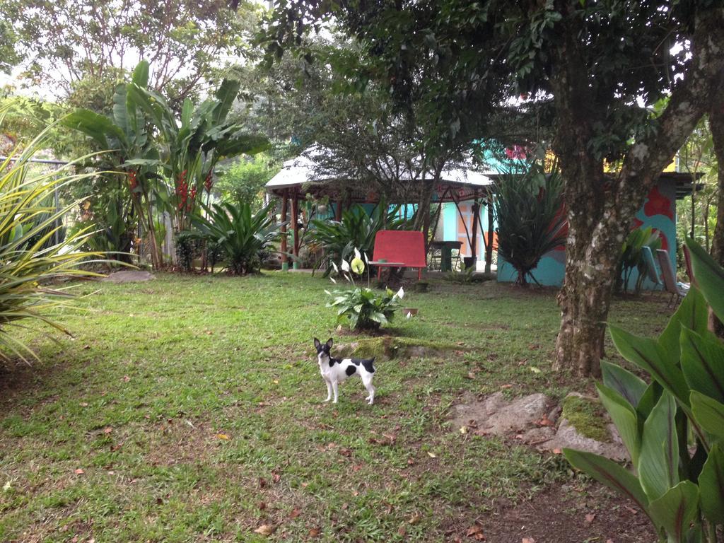 Guest house Casa Chirripo