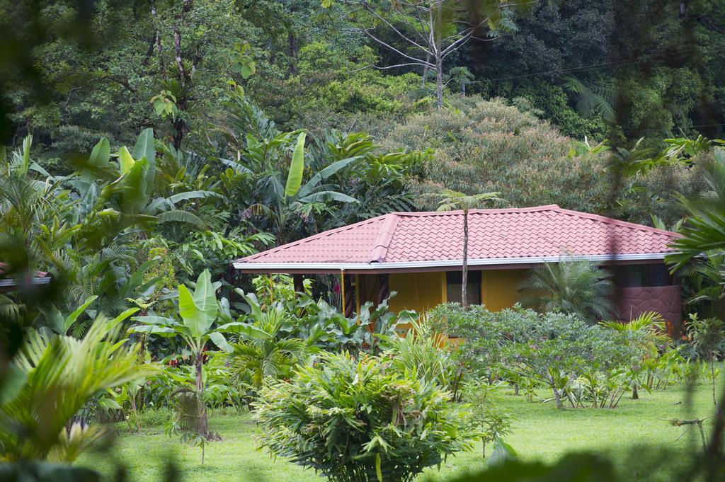 Hotel Catarata Rio Celeste Bijagua