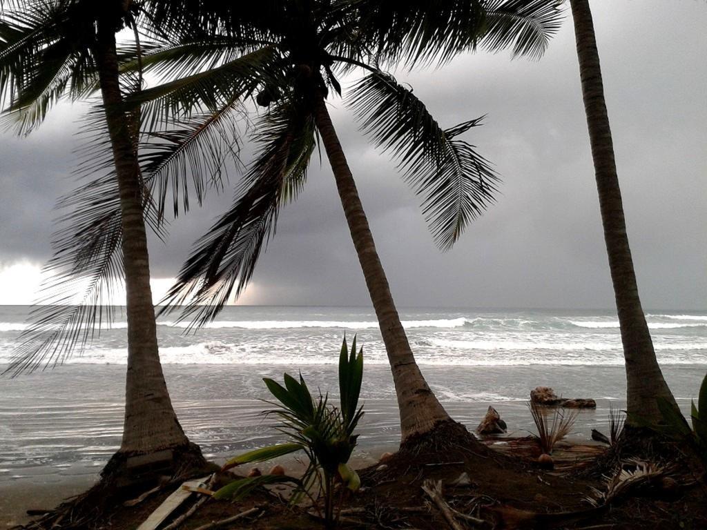 Down By The Sea, The Beachfront