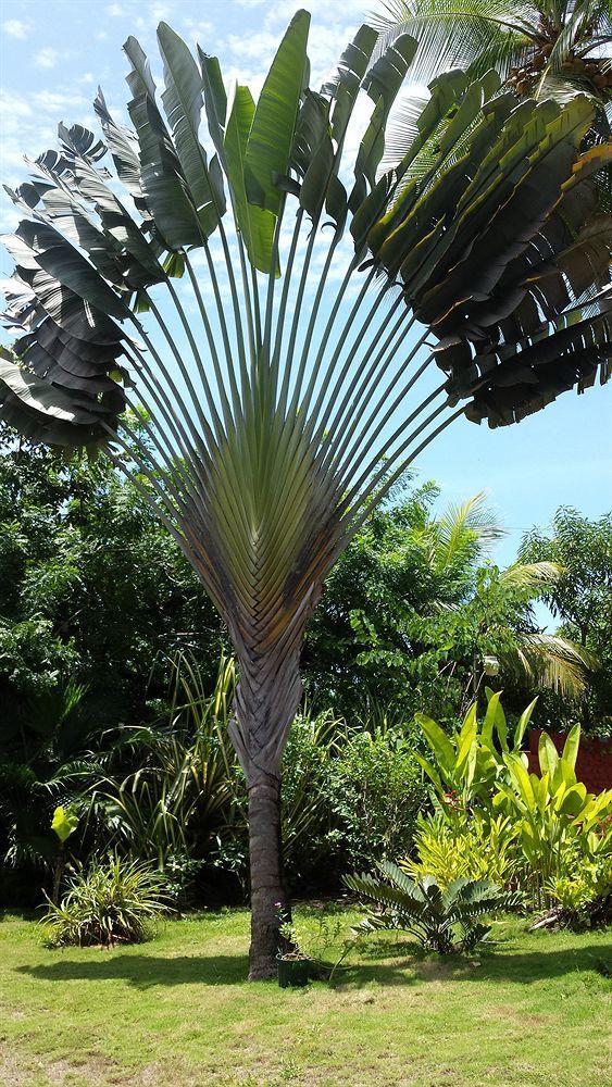 Hotel Beso Del Viento (adults Only)
