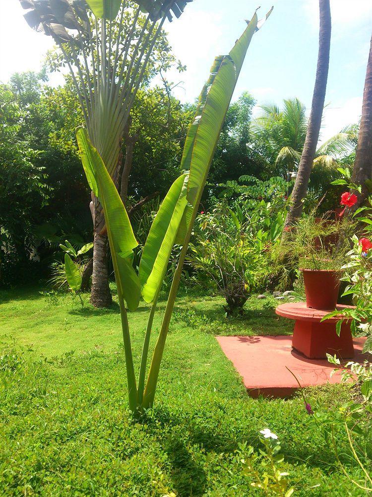 Hotel Beso Del Viento (adults Only) 3*